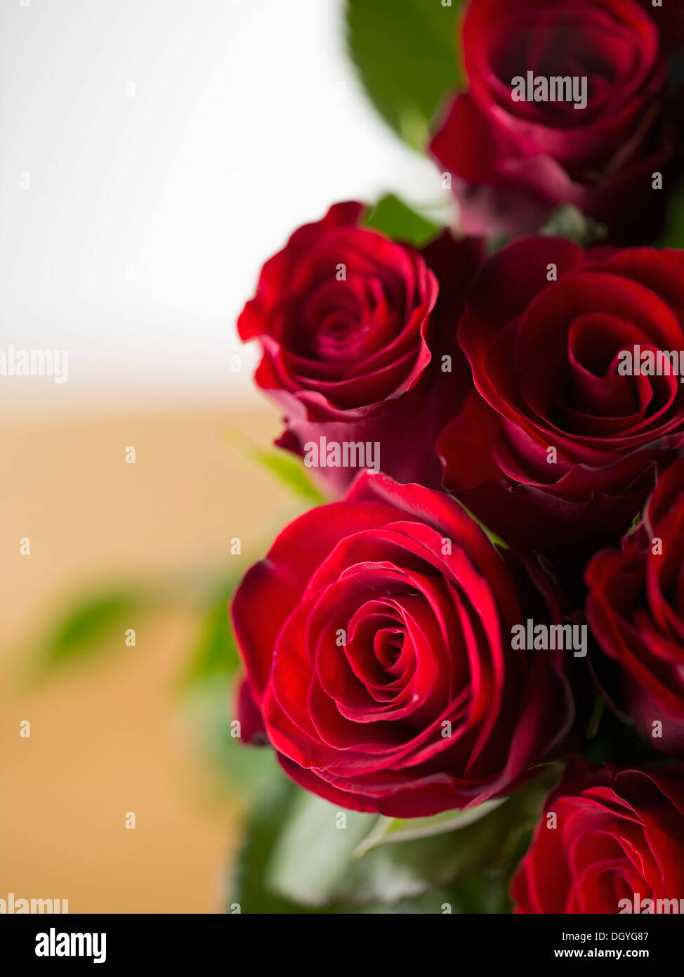 Un bouquet de roses rouges, high angle view, close-up Banque D'Images