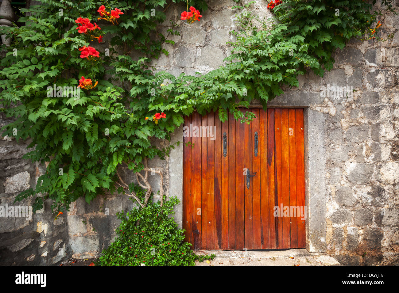 Porte en bois rouge dans le vieux mur de pierre avec des fleurs décoratives. La ville de Perast, Monténégro Banque D'Images