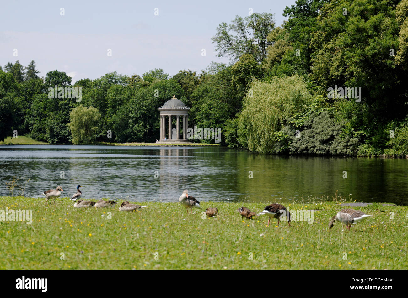 Temple d'apollon, badenburger lake, parc du château Nymphenburg, Munich, Bavière Banque D'Images