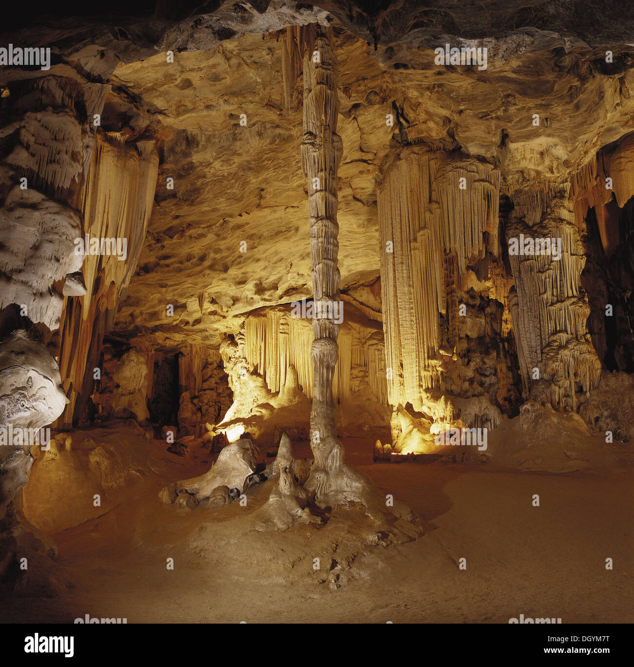 Une colonne de la Cango Caves Banque D'Images