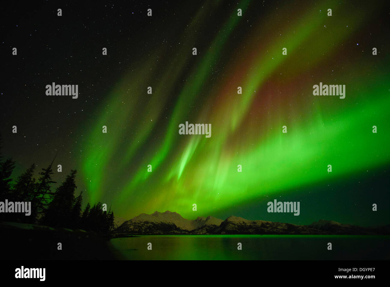 Northern Lights, Aurora Borealis, Collège Fijord, Prince William Sound, Anchorage, Alaska, United States Banque D'Images