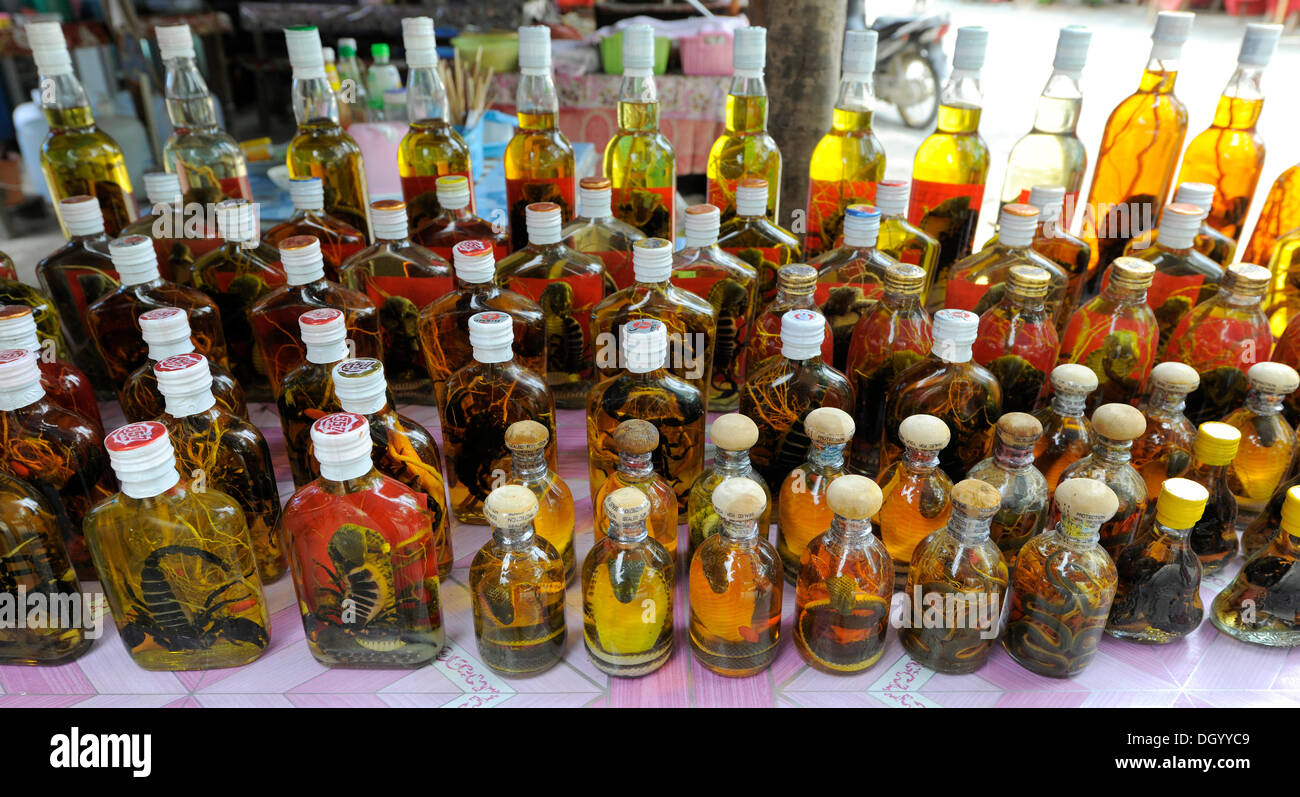 Bouteilles de whisky avec les serpents marinés, Don Sao, Laos, Asie du Sud, Asie Banque D'Images