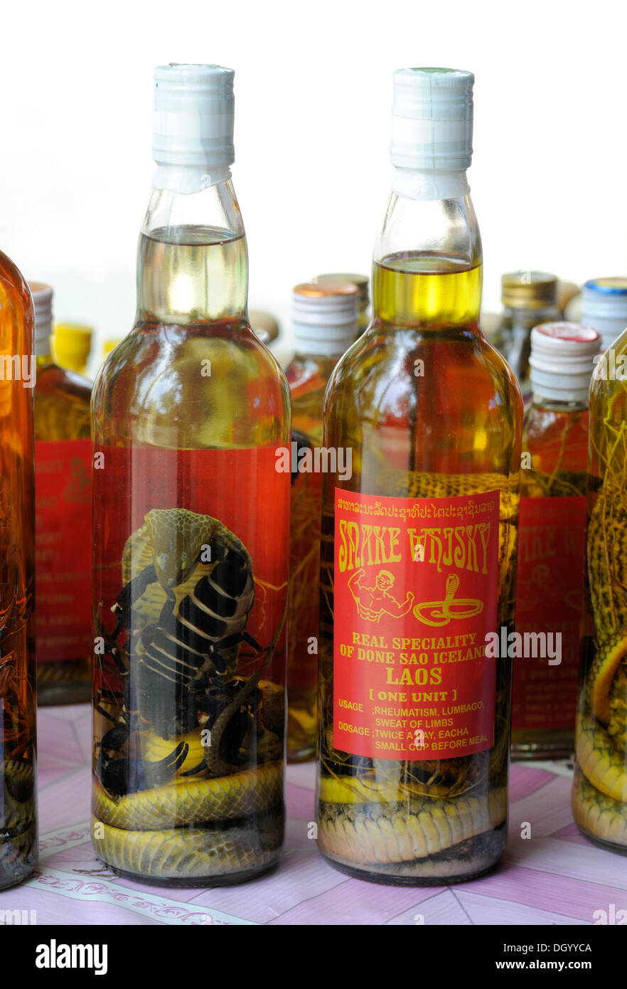 Bouteille de whisky avec les serpents marinés, Don Sao, Laos, Asie du Sud, Asie Banque D'Images