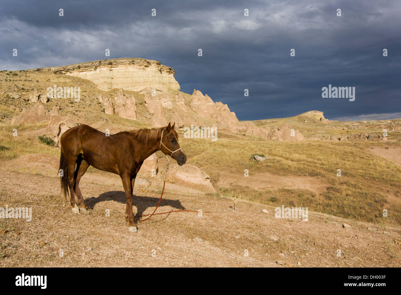 Dans l'atmosphère orageuse en tuf paysage, Cappadoce, Anatolie centrale, Turquie, Asie Banque D'Images