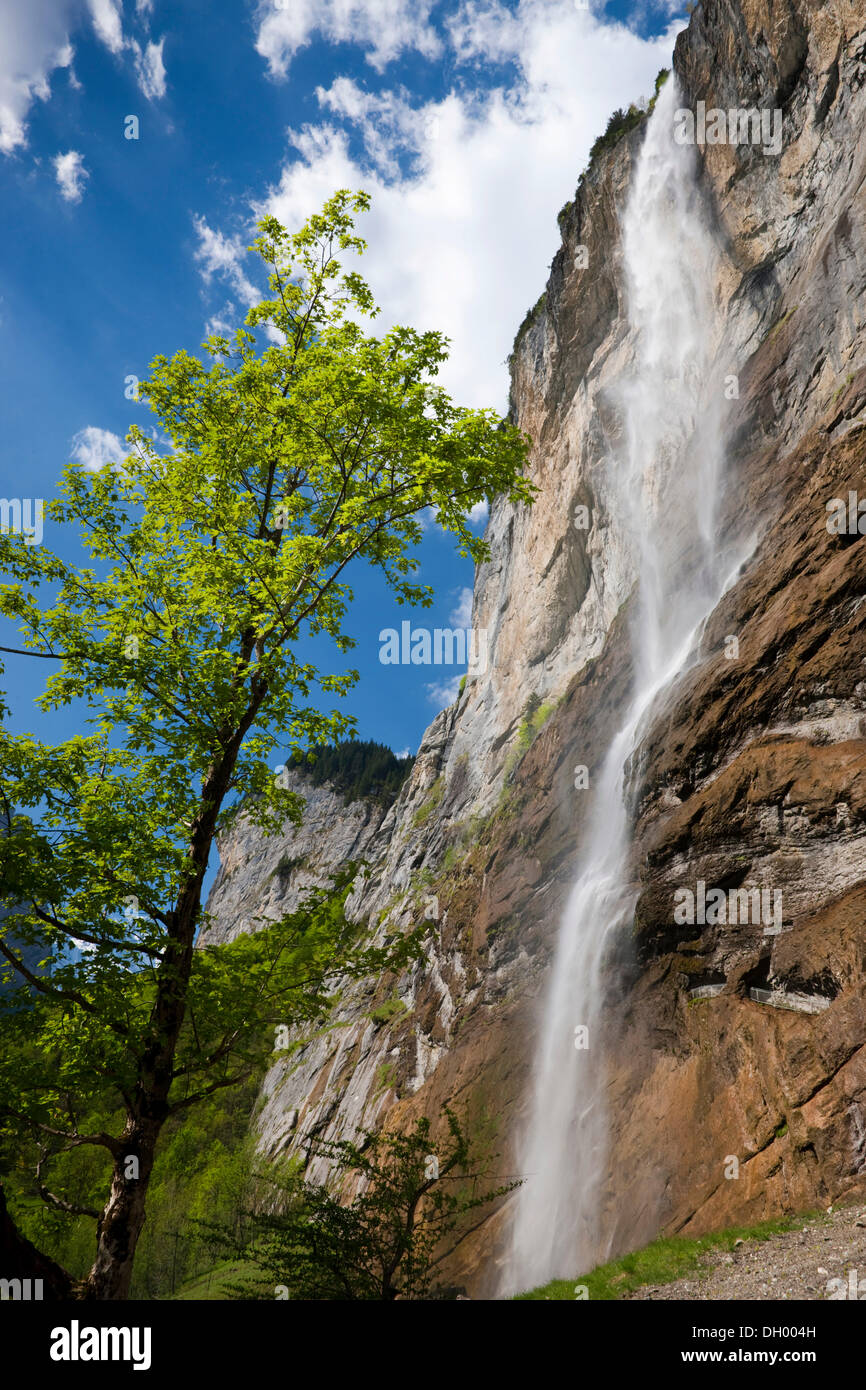 Staubbach Falls, Grindelwald, Oberland Bernois, Suisse, Europe Banque D'Images