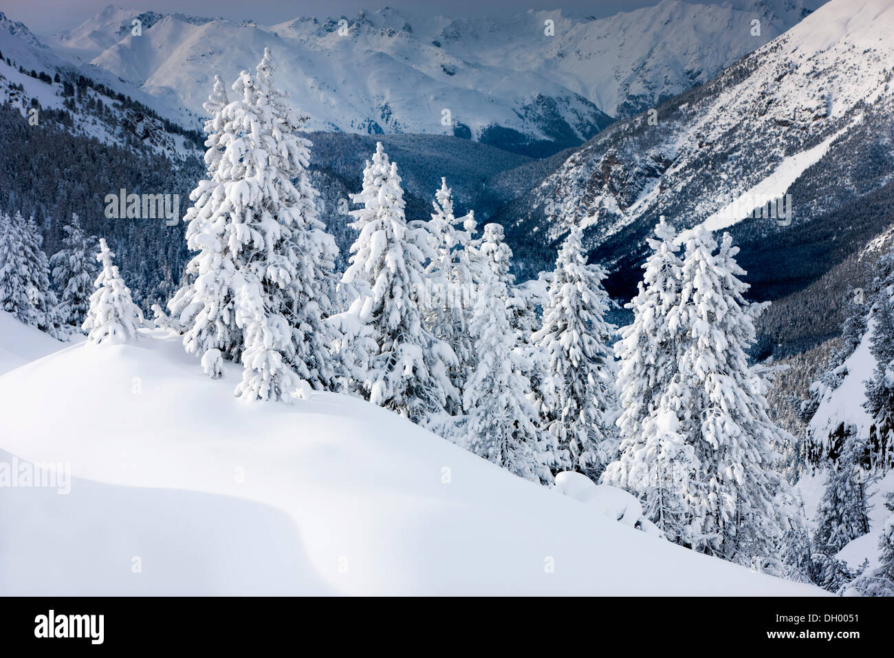Paysage d'hiver, Ofen, Parc National Suisse, Grisons, Suisse, Europe Banque D'Images
