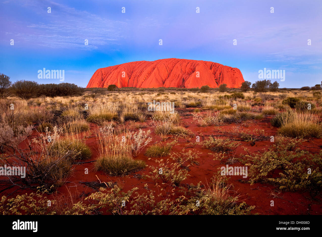 L'Uluru ou Ayers Rock, heure bleue, le Parc National d'Uluru-Kata Tjuta, Territoire du Nord, Australie Banque D'Images