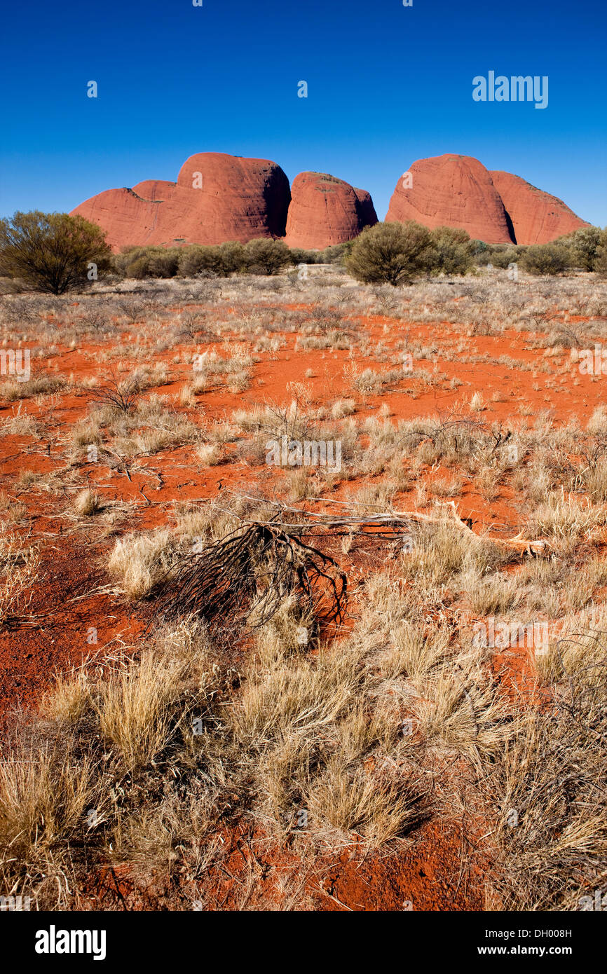 Olgas ou Katja Tjuta, Parc National d'Uluru-Kata Tjuta, Territoire du Nord, Australie Banque D'Images
