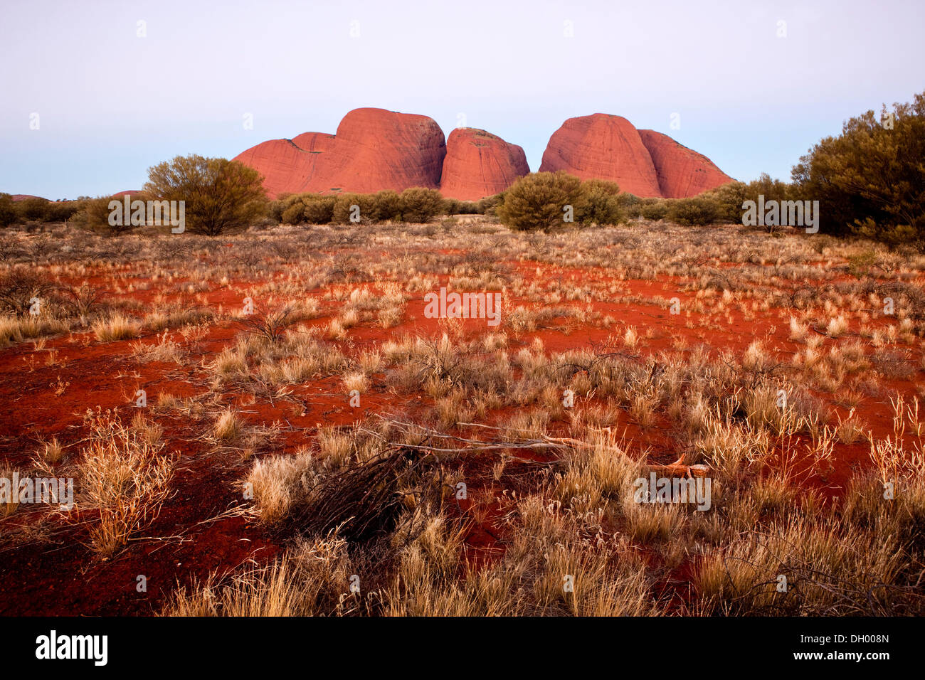 Olgas ou Katja Tjuta, heure bleue, le Parc National d'Uluru-Kata Tjuta, Territoire du Nord, Australie Banque D'Images