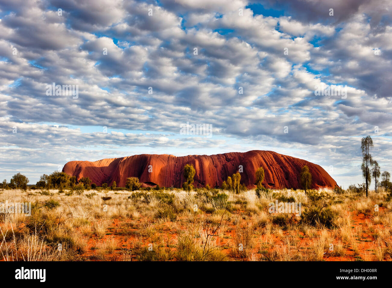 L'Uluru ou Ayers Rock, le Parc National d'Uluru-Kata Tjuta, Territoire du Nord, Australie Banque D'Images