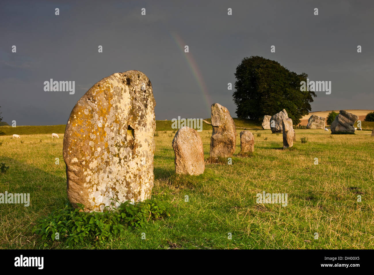 Arc-en-ciel sur un anneau de pierres, stone circle, Avebury, Wiltshire, Angleterre, Royaume-Uni Banque D'Images