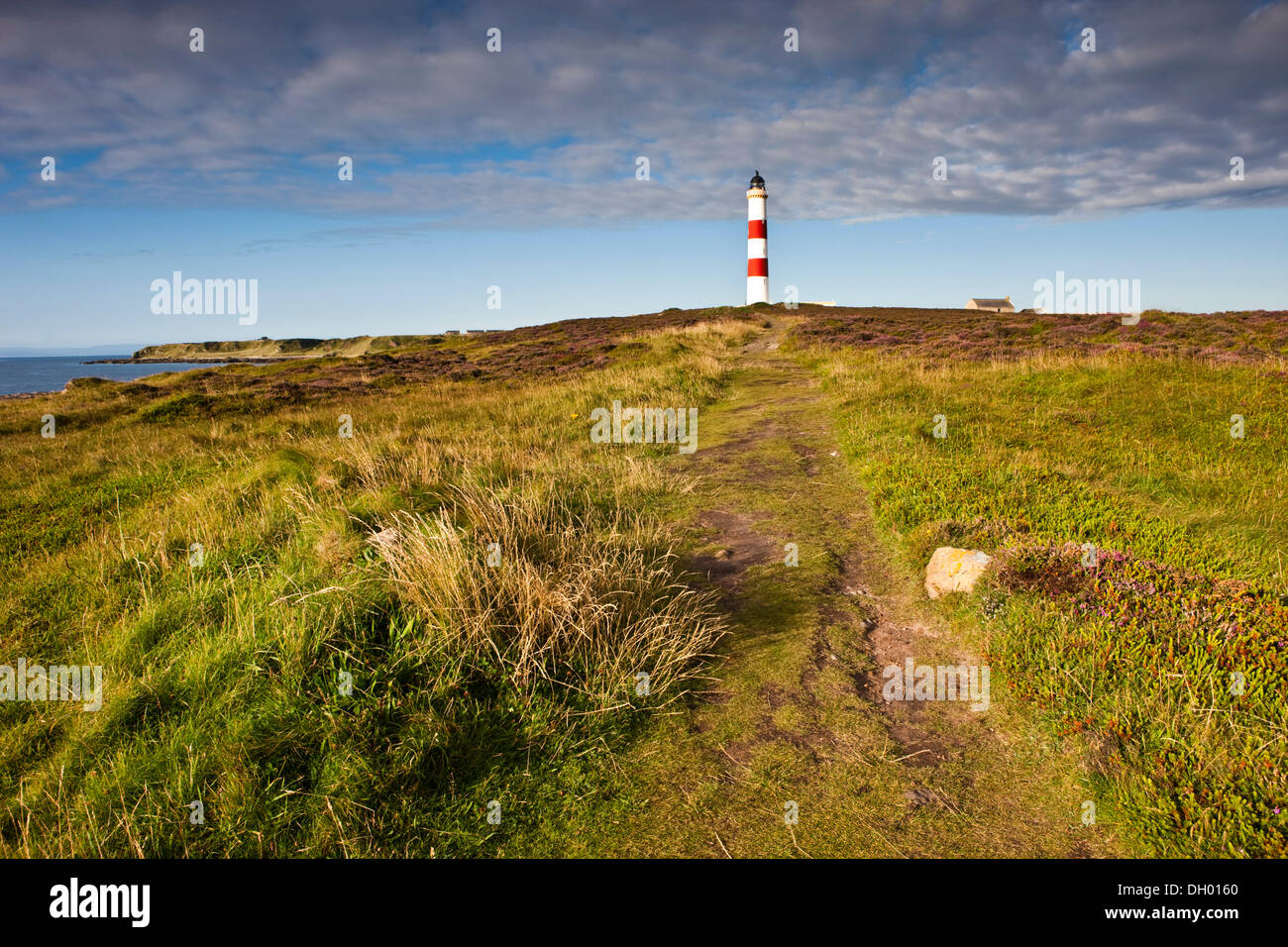 Chemin menant à un phare, Tarbat Ness, Ecosse, Royaume-Uni Banque D'Images