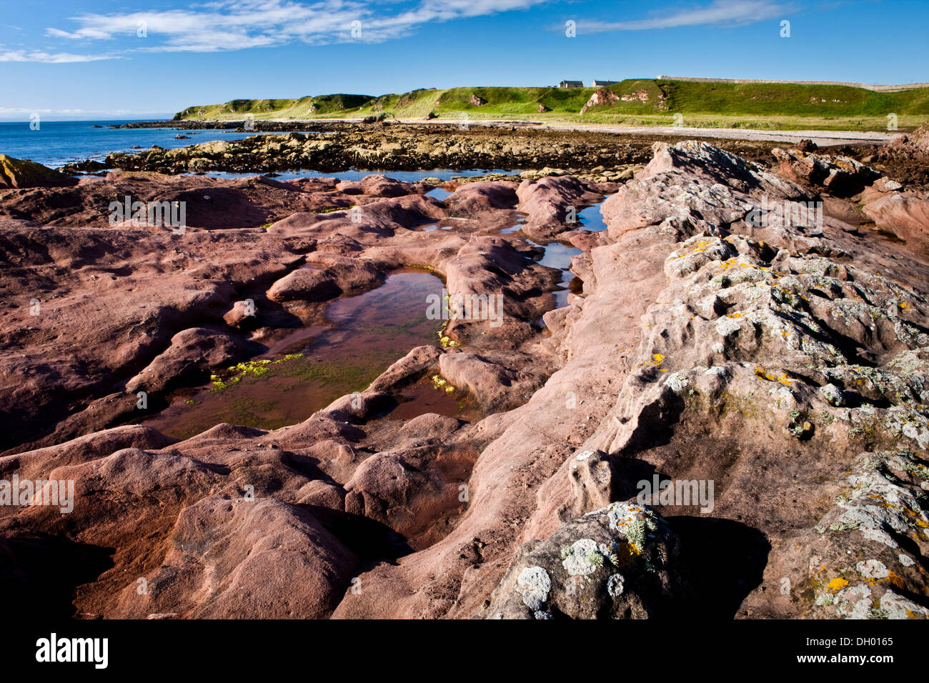 Les falaises rouges, côte rocheuse, Tarbat Ness, Ecosse, Royaume-Uni Banque D'Images