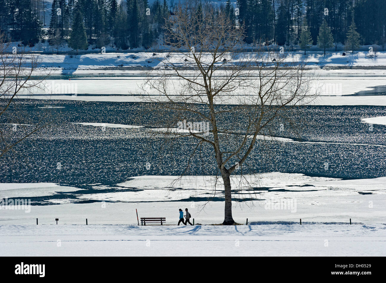 Les randonneurs au partiellement congelée Lac Achensee, Tyrol, Autriche, Europe Banque D'Images
