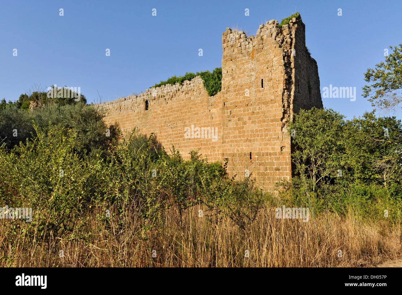 Castello dei di Vico, forteresse du xiiie siècle, zone archéologique à San Giovenale, près de Vetralla, lazio, Italie, Europe Banque D'Images