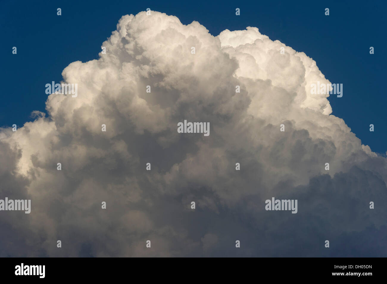 Cumulonimbus, nuage, Marzling, Haute-Bavière, Bavière, Allemagne Banque D'Images