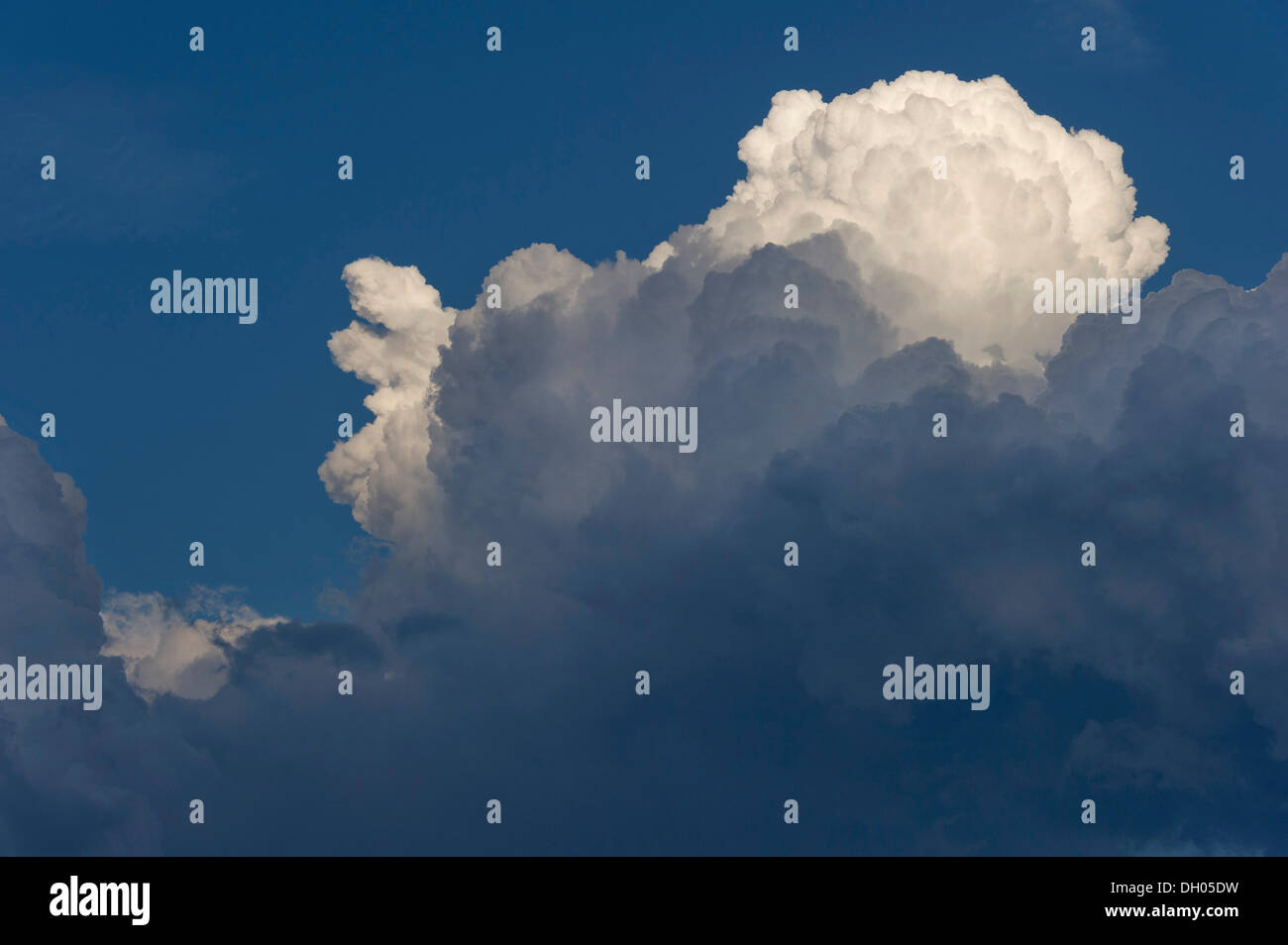 Cumulonimbus, nuage, Marzling, Haute-Bavière, Bavière, Allemagne Banque D'Images