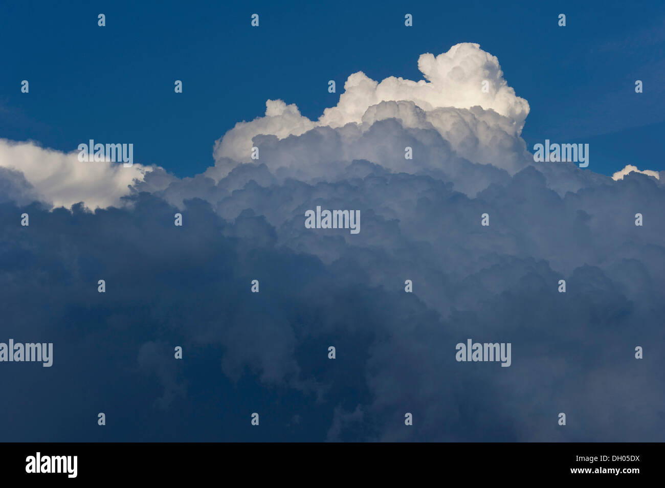 Cumulonimbus, nuage, Marzling, Haute-Bavière, Bavière, Allemagne Banque D'Images