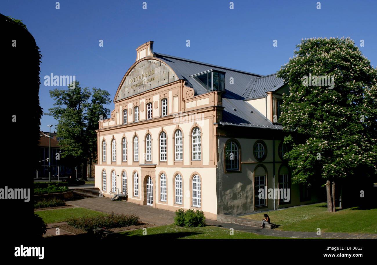 Ottoneum, musée d'histoire naturelle, Kassel, Hesse Banque D'Images