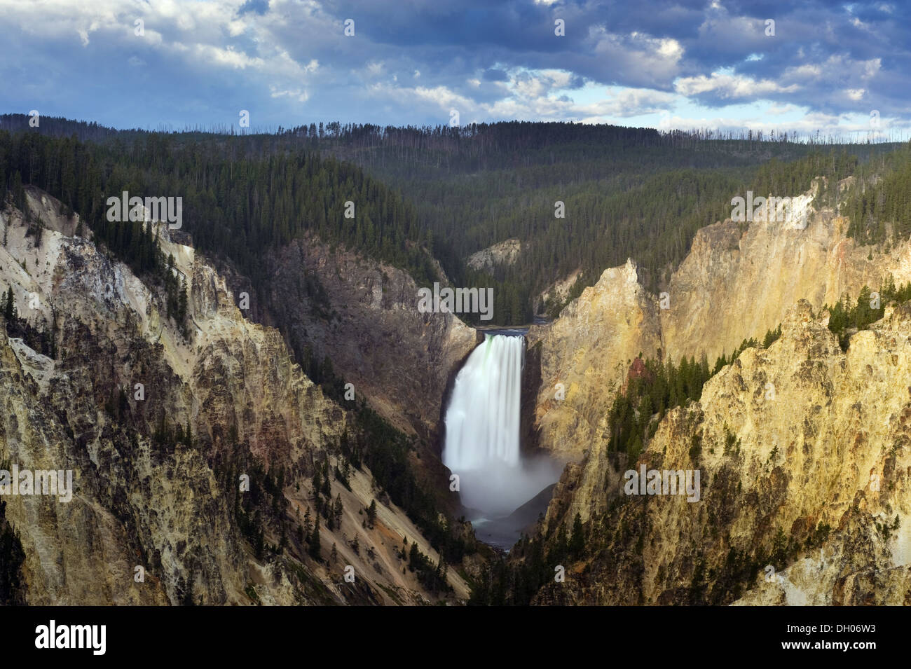 Lower Falls de Yellowstone River à partir de la rive sud, Grand Canyon de Yellowstone, le Parc National de Yellowstone, Wyoming Banque D'Images