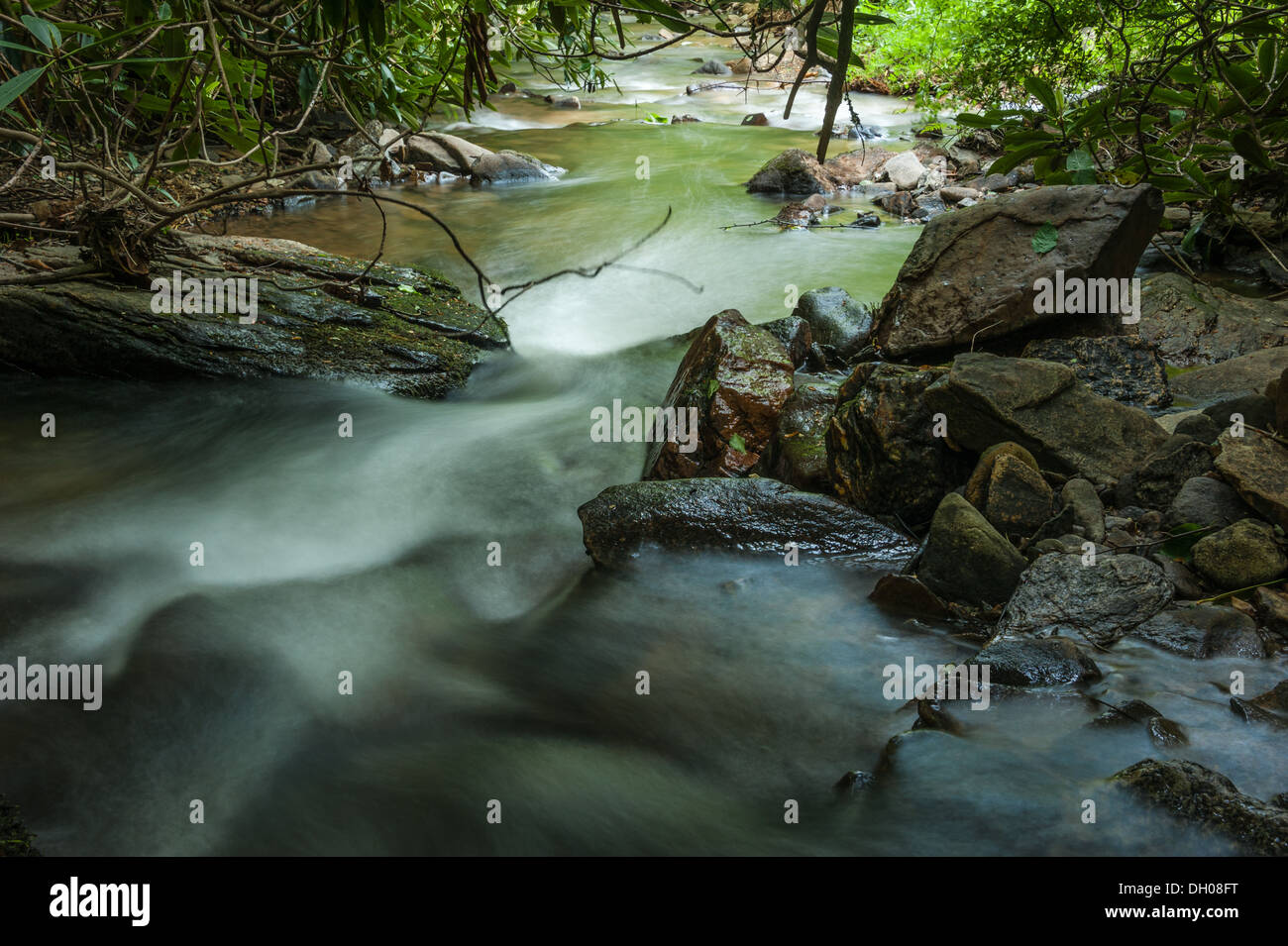 Vue en aval d'un ruisseau de montagne près d'Asheville, Caroline du Nord dans les montagnes Blue Ridge de la chaîne des Appalaches. (ÉTATS-UNIS) Banque D'Images