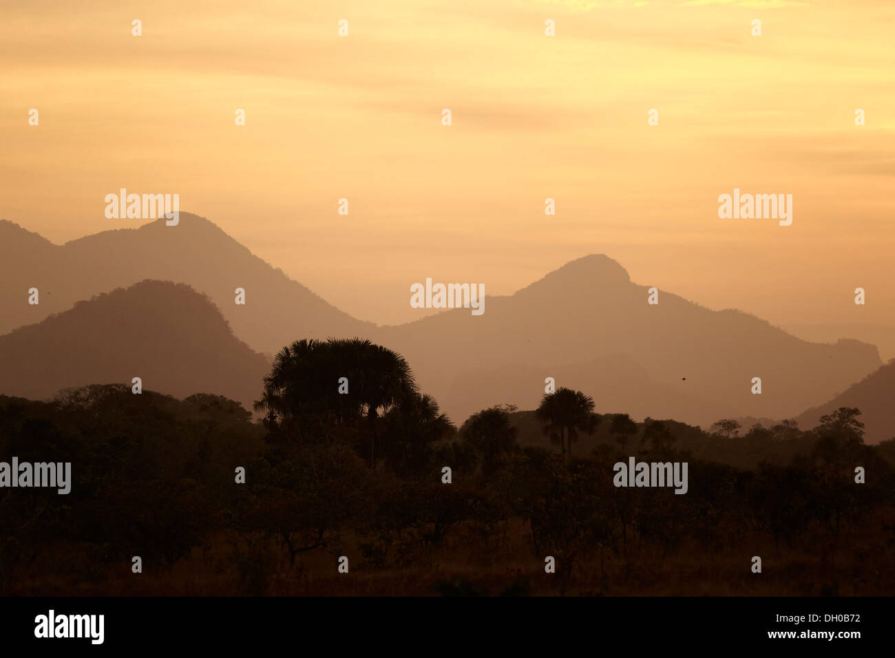 Coucher de soleil sur le paysage de savane, au Guyana, en Amérique du Sud. Banque D'Images