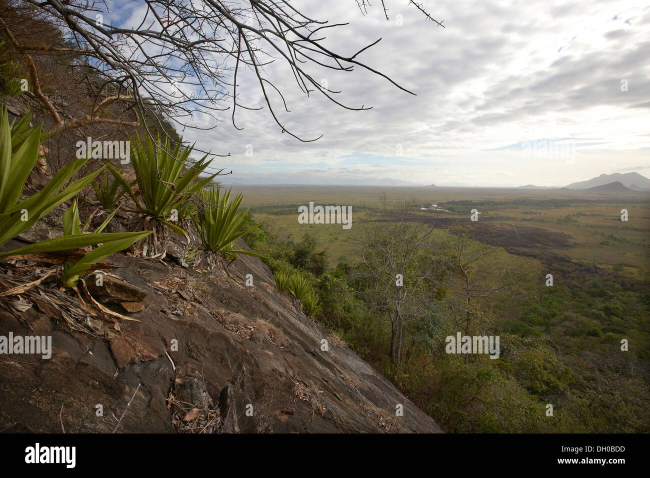 Piton rocheux à la recherche sur le paysage de savane, au Guyana, en Amérique du Sud. Banque D'Images
