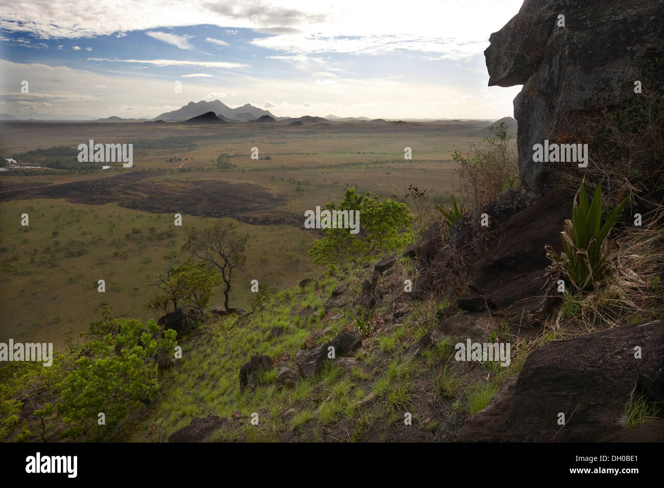 Piton rocheux à la recherche sur le paysage de savane, au Guyana, en Amérique du Sud. Banque D'Images