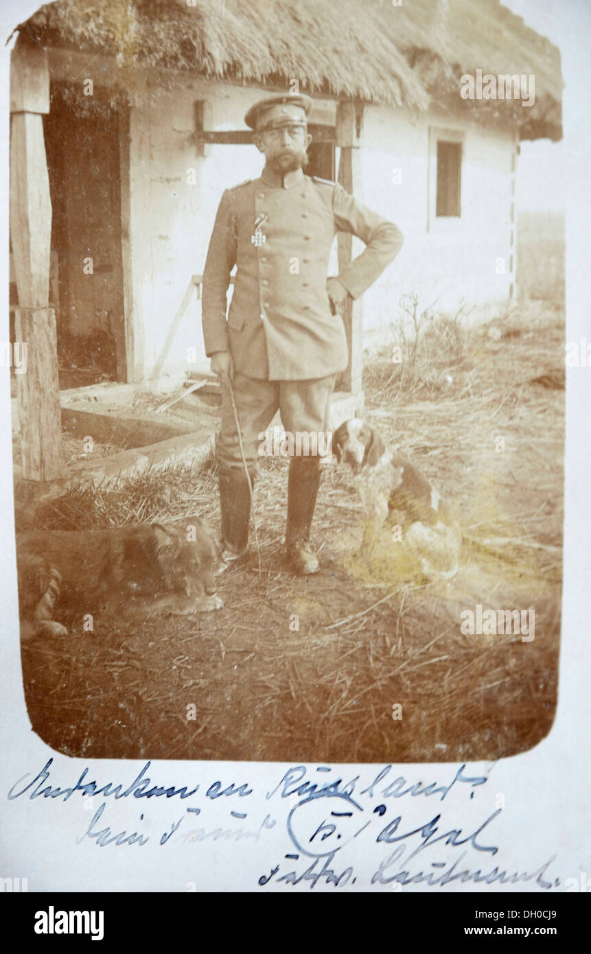 Carte postale, sur le terrain, officier allemand portant une médaille avec les chiens de chasse en face d'une maison au toit de chaume en Galice, campagne de Russie Banque D'Images