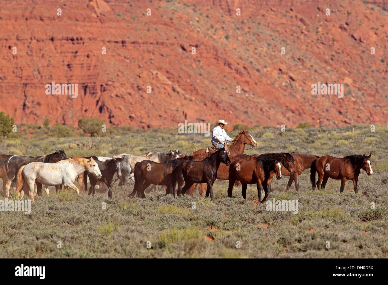 Cowboy Navajo de Mustang, Utah, United States Banque D'Images