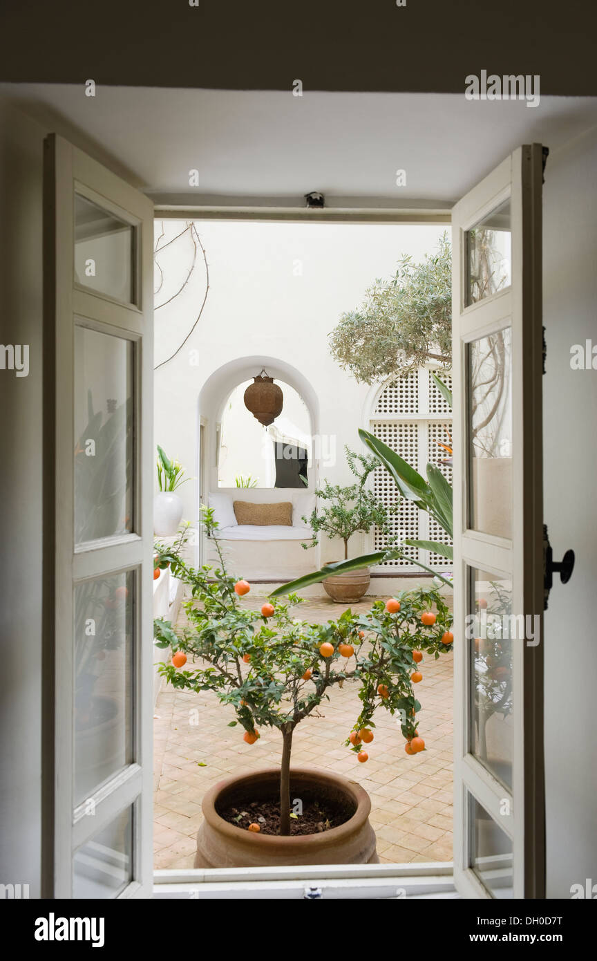Vue à travers la fenêtre marocaine à l'orange tree dans cour intérieure Banque D'Images