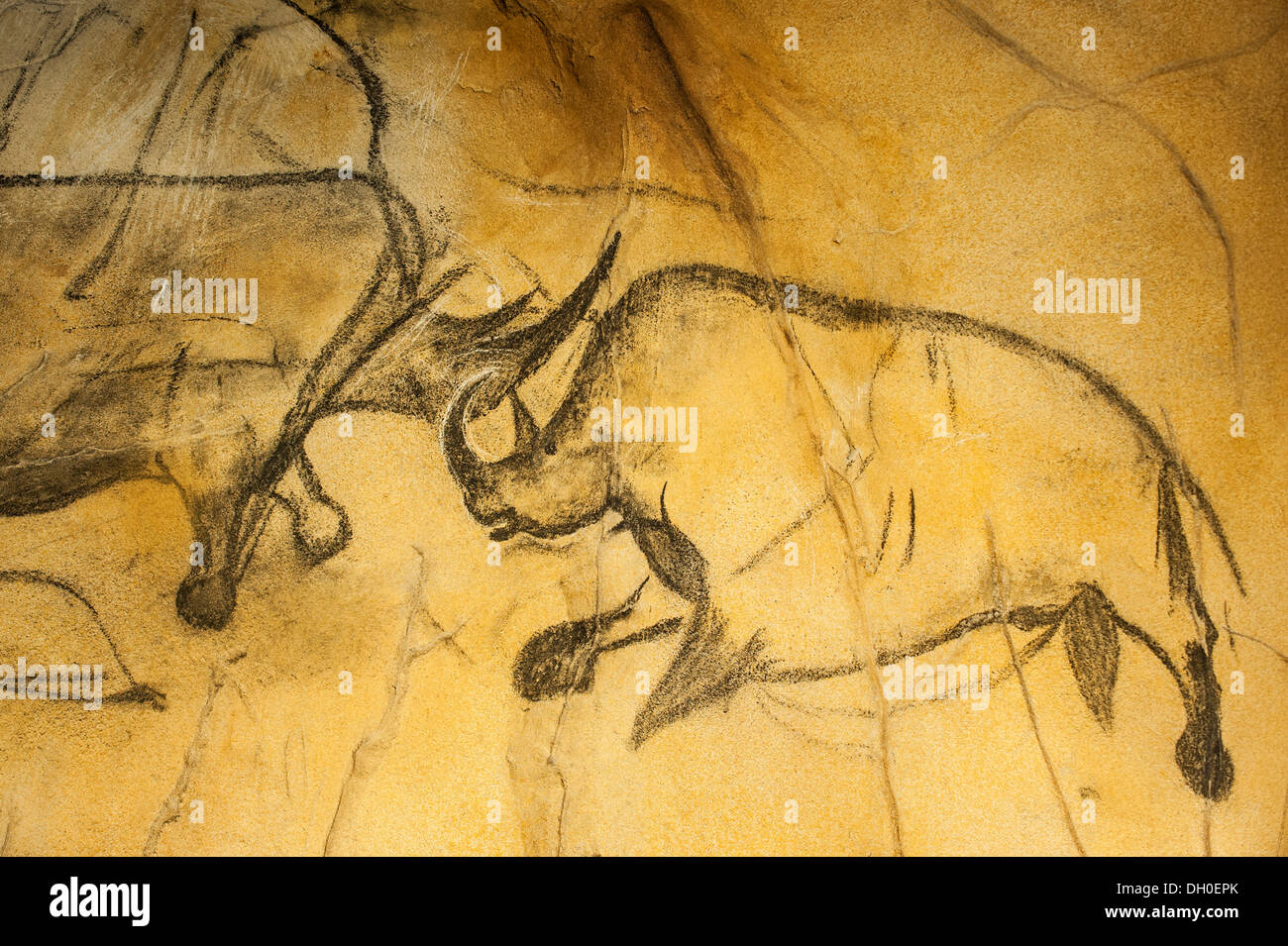Réplique de la peinture rupestre préhistorique de rhinocéros laineux, grotte Chauvet, Grotte Chauvet-Pont-d'Arc en Ardèche, France Banque D'Images