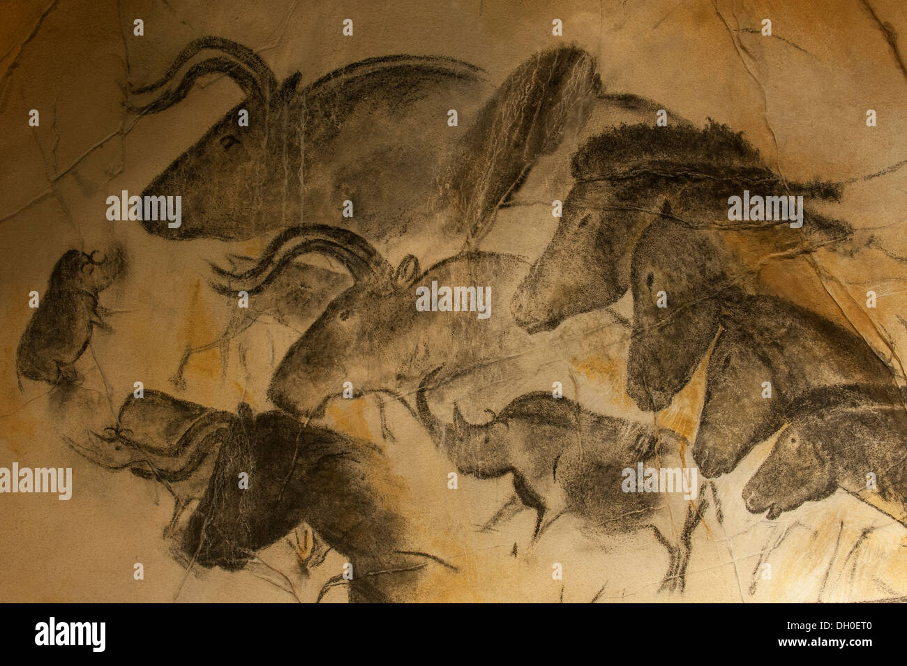 Réplique de peintures rupestres préhistoriques de rhinocéros laineux et aurochs, grotte Chauvet / Grotte Chauvet-Pont-d'Arc, Ardèche, France Banque D'Images