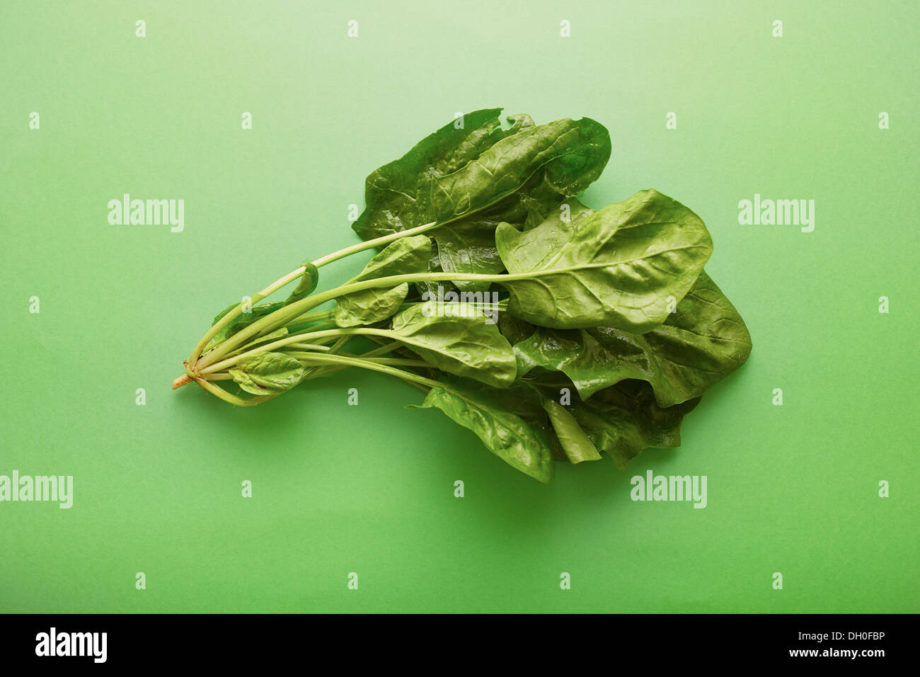 Les feuilles d'épinards crus frais sur fond vert Banque D'Images