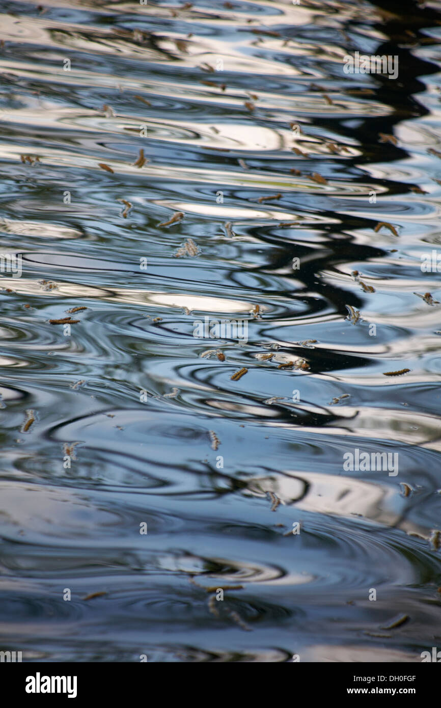 Motifs abstraits de l'eau en mouvement avec sky reflétée Banque D'Images