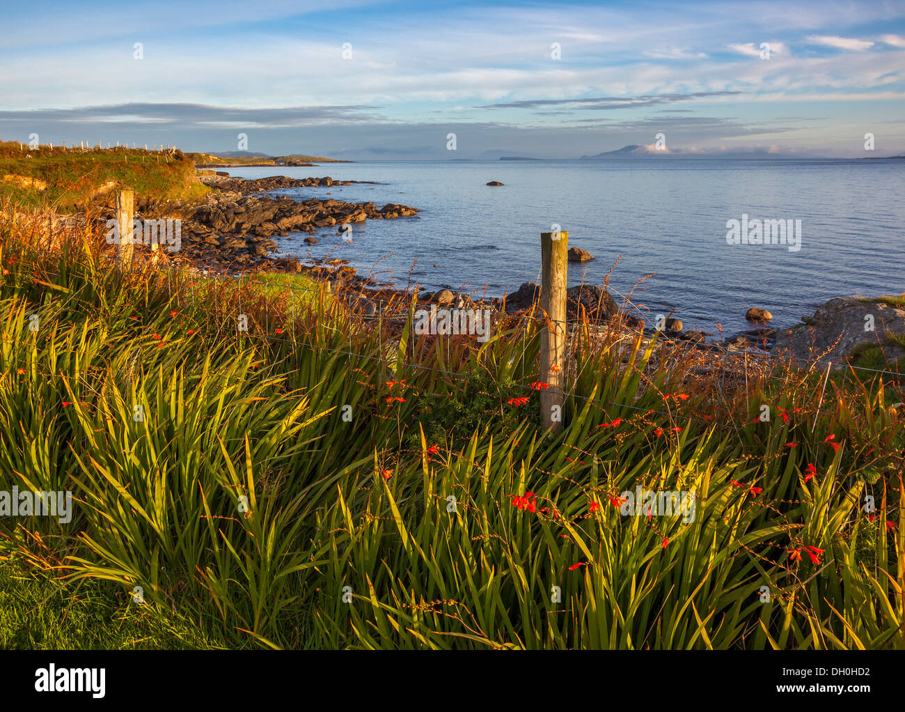 Le comté de Galway, Irlande : soleil du matin sur les caps de Letterfrack Point dans la région du Connemara Inishbofin Island avec Banque D'Images