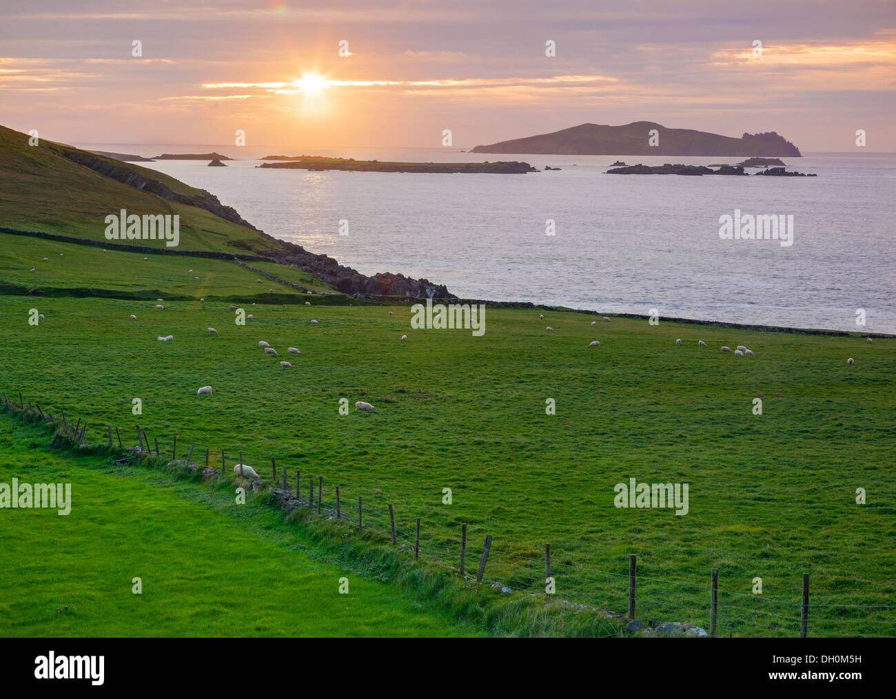 Le comté de Kerry, Irlande : Coucher de soleil sur son Blasket et Les Îles Blasket de Dunmore Head Banque D'Images