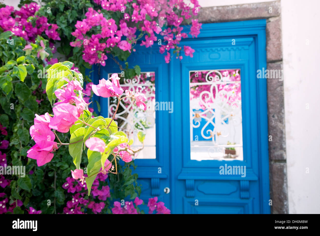 Des fleurs et une porte dans la ville de Firostefani, à Santorin, Grèce le 7 juillet 2013. Banque D'Images