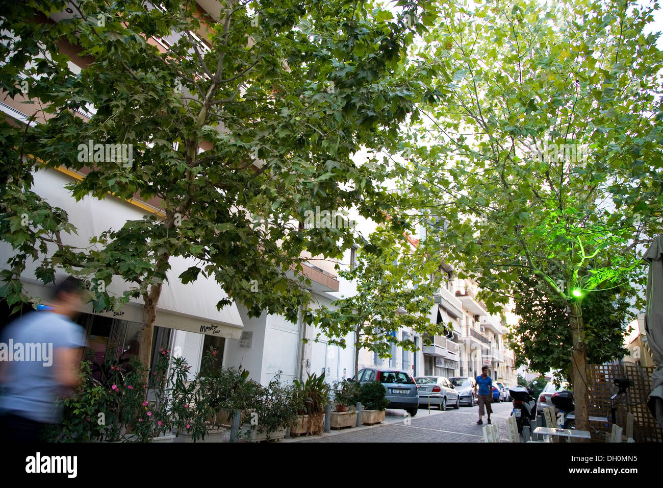 Une rue bordée d'arbres, près de l'Acropole à Athènes, Grèce le 2 juillet 2013. Banque D'Images