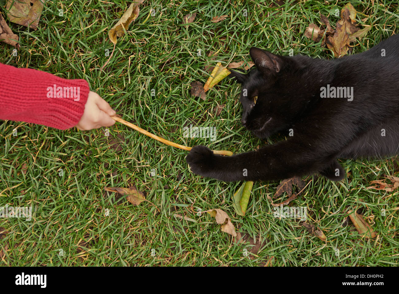 Fille blonde avec cat in garden Banque D'Images