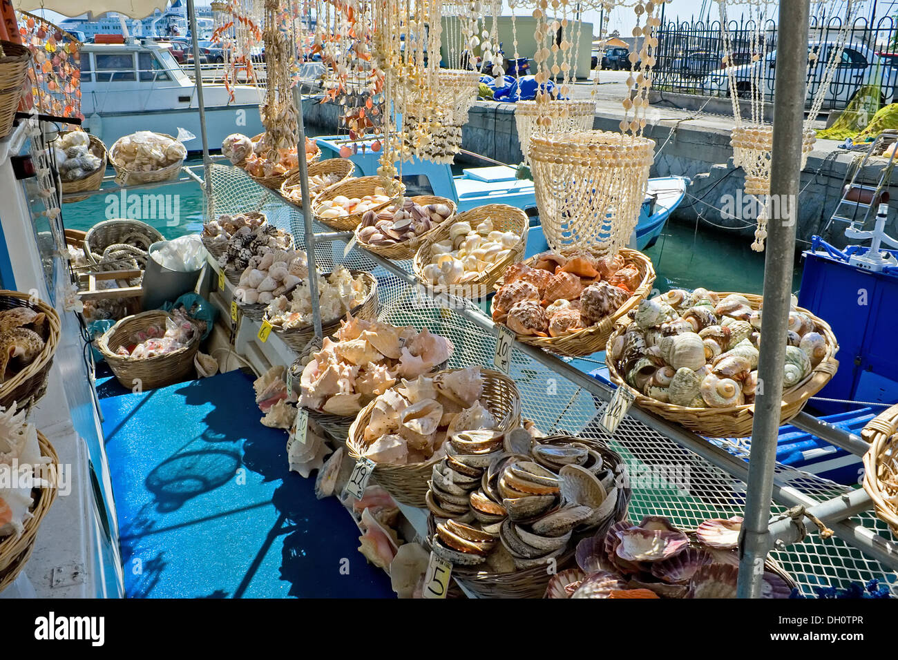 Sea Shell shop sur un navire à Rhodes, Grèce Banque D'Images