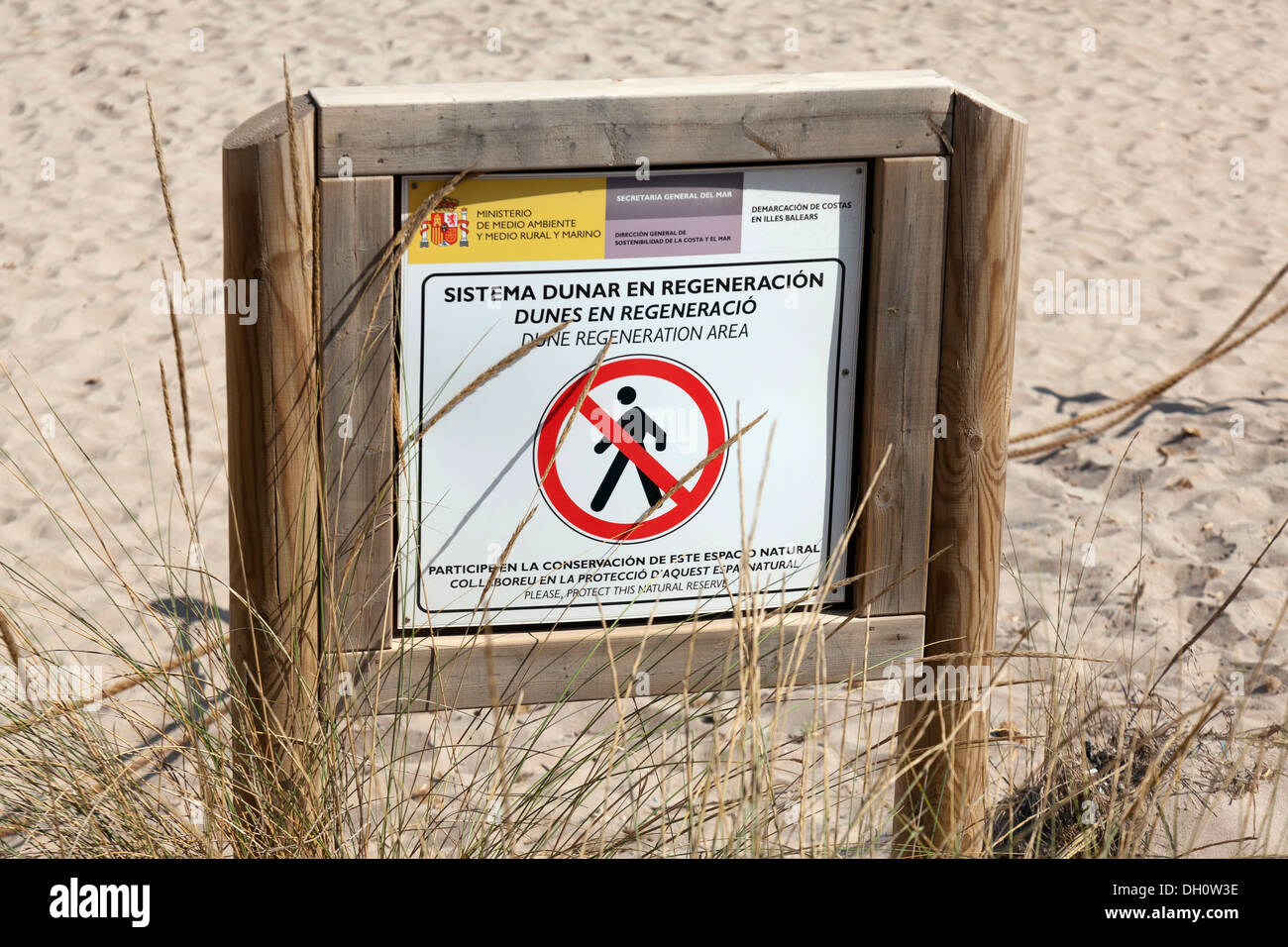 Signe, pas d'intrusion, de protéger les dunes, la protection de la nature, Cala d'Algaiarens, le nord de Minorque, Iles Baléares, Espagne Banque D'Images