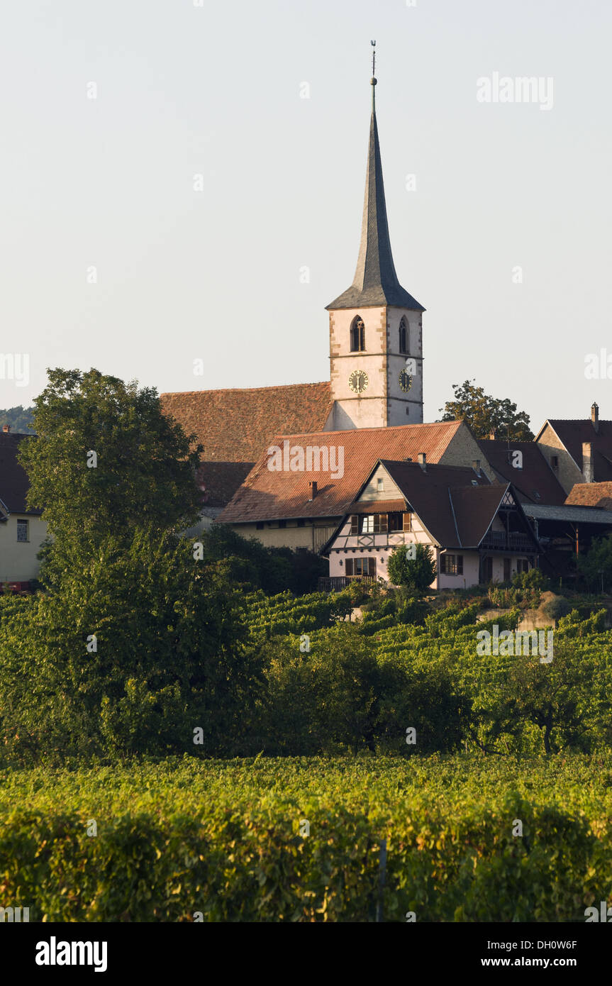 Elk213-1761v France, Alsace, Mittelbergheim, village à travers vignes Banque D'Images