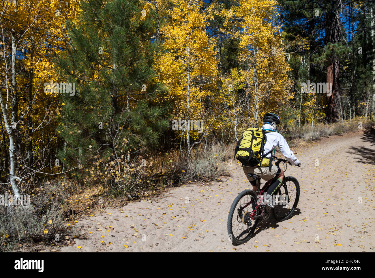 Les pédales cyclistes par la couleur en automne à Spooner Lake State Park à Nevada Banque D'Images