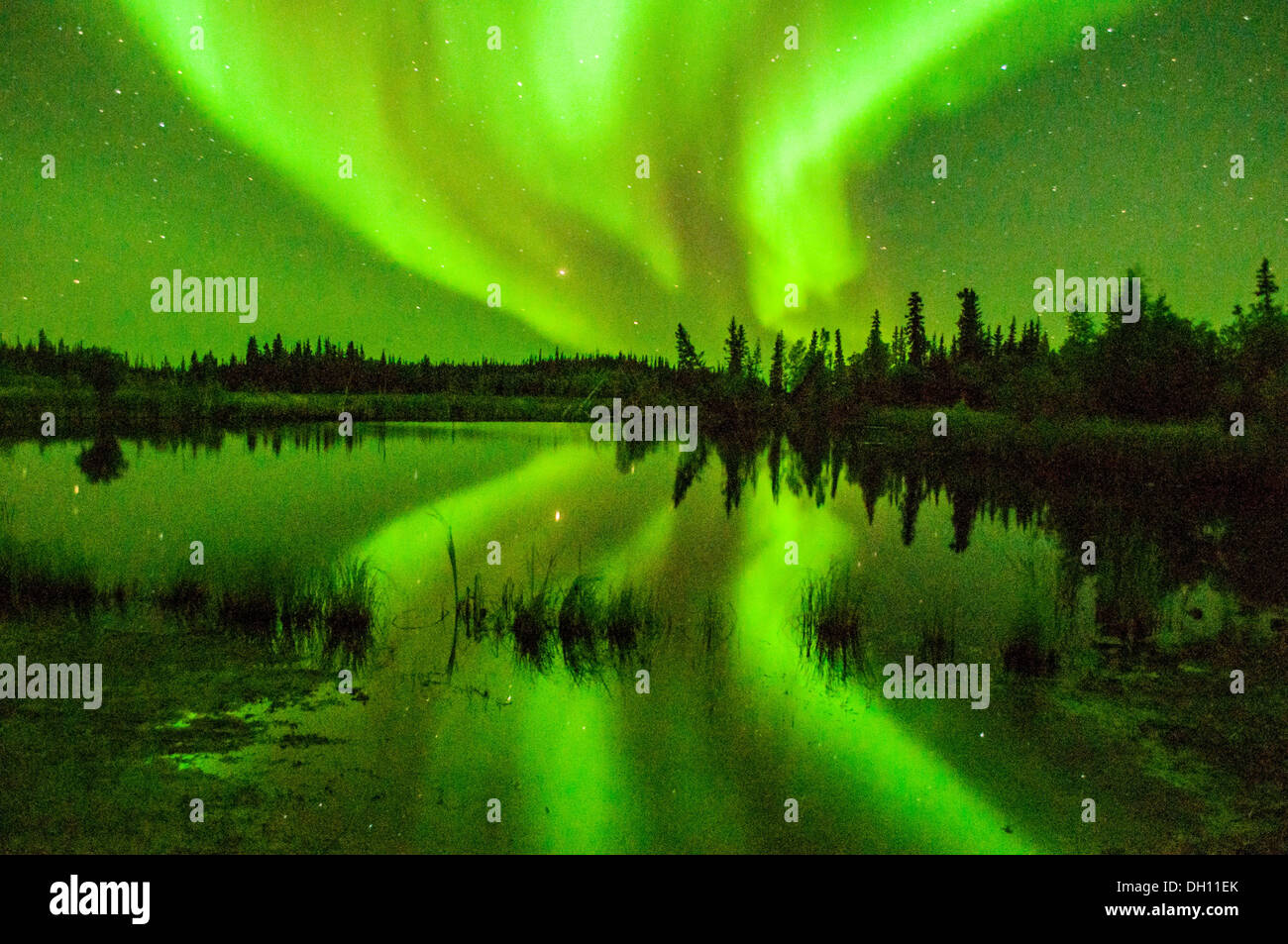 Un bel horizon de la northern lights aurores boréales à Yellowknife Territoires du Yukon Canada Banque D'Images