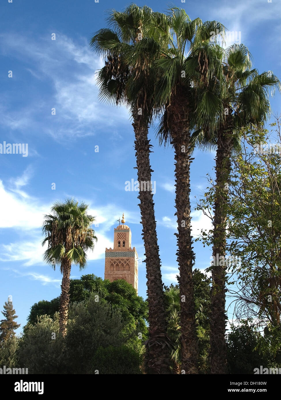 Koutoubia - la plus grande mosquée de Marrakech, Maroc, Afrique Banque D'Images