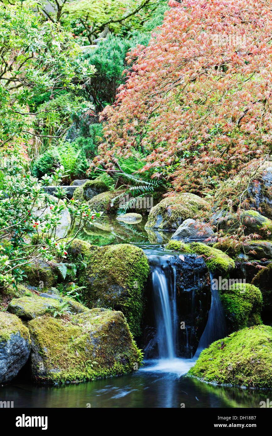 Rocky Creek et encore couverte, Portland, Oregon, United States Banque D'Images