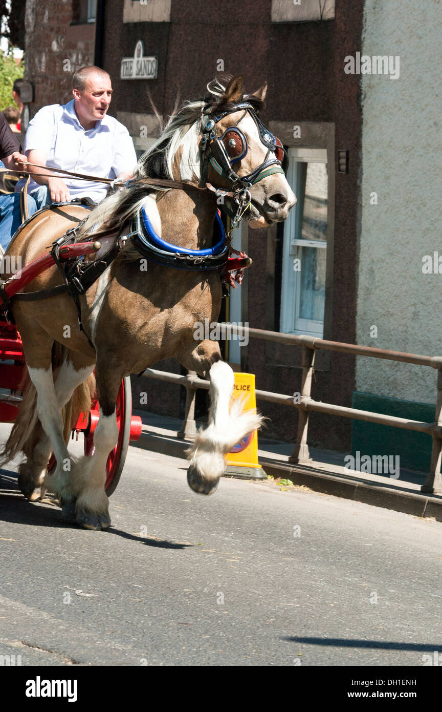 La foire aux chevaux annuelle à Appleby, Cumbria, Royaume-Uni Banque D'Images