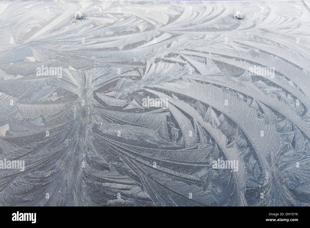 Les patrons de gel sur capot de voiture, Ecosse, Royaume-Uni Banque D'Images