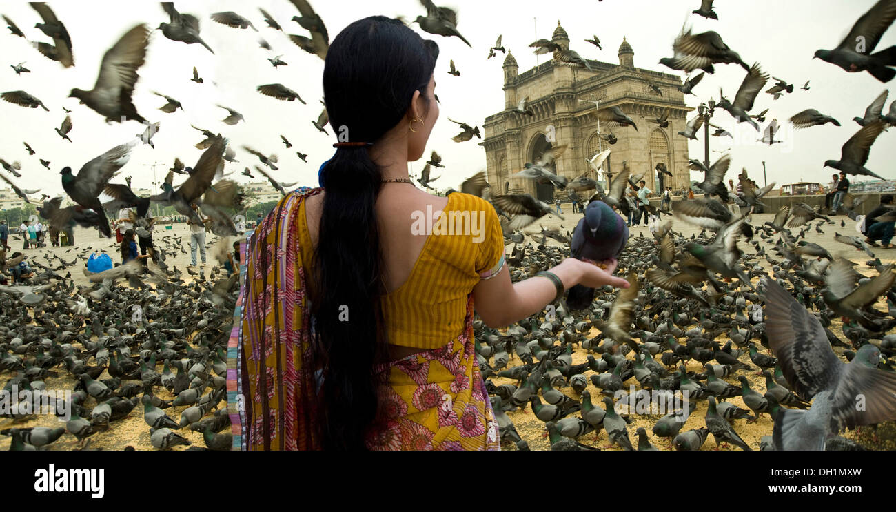 L'alimentation du pigeon femme part porte de l'Inde Mumbai maharashtra Inde Banque D'Images